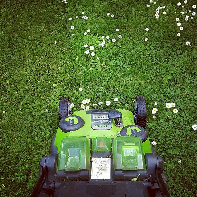 Summer #grassslaughtering #greenworks #lawnmower